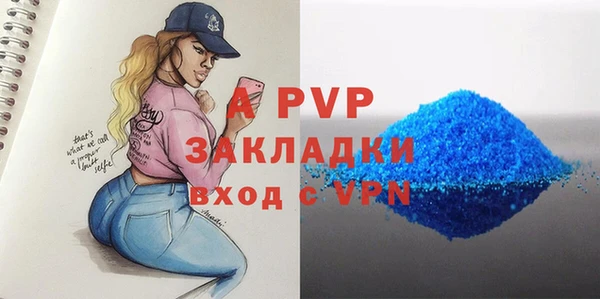 гашик Гусев