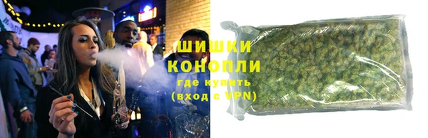 гашик Гусев