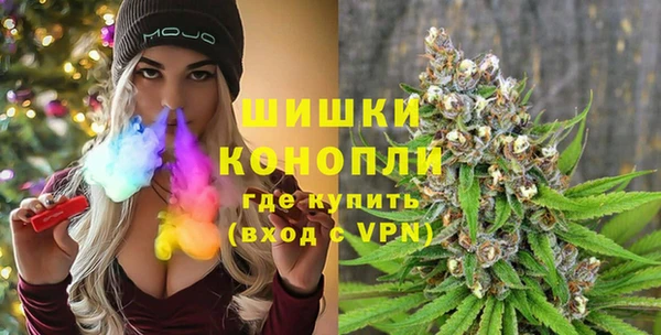 гашик Гусев