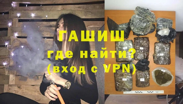 гашик Гусев