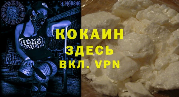 гашик Гусев