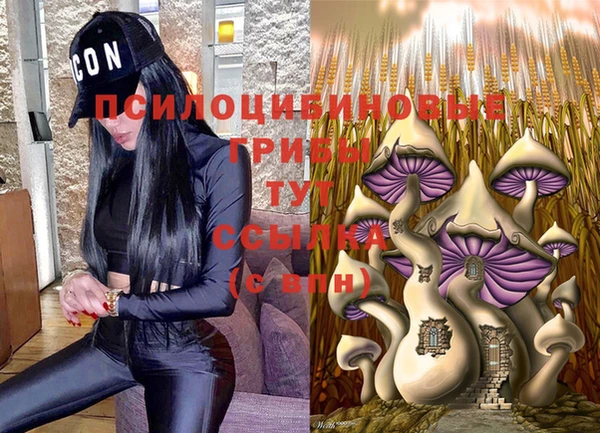 а пвп мука Гусиноозёрск