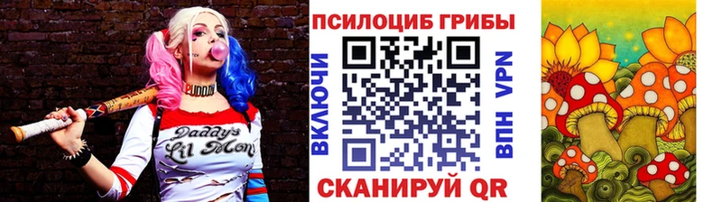 Псилоцибиновые грибы мухоморы Котовск
