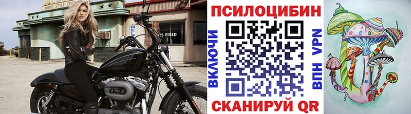 Купить где  Котовск  Галлюциногенные грибы ЛСД 